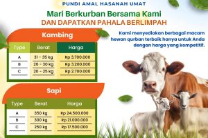 Qurban Kambing