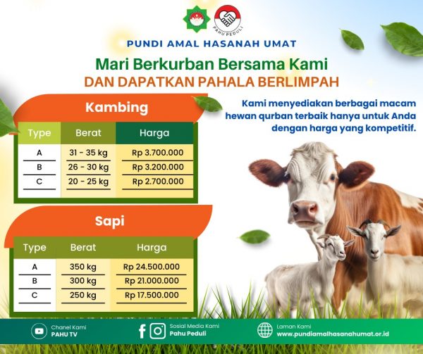 Qurban Kambing