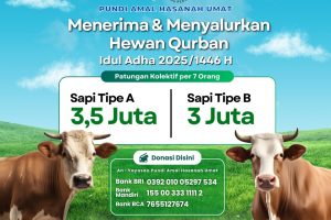 Qurban Sapi