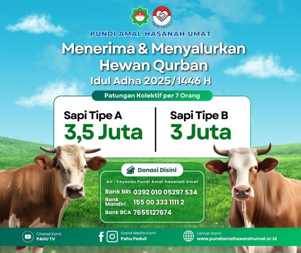 Qurban Sapi